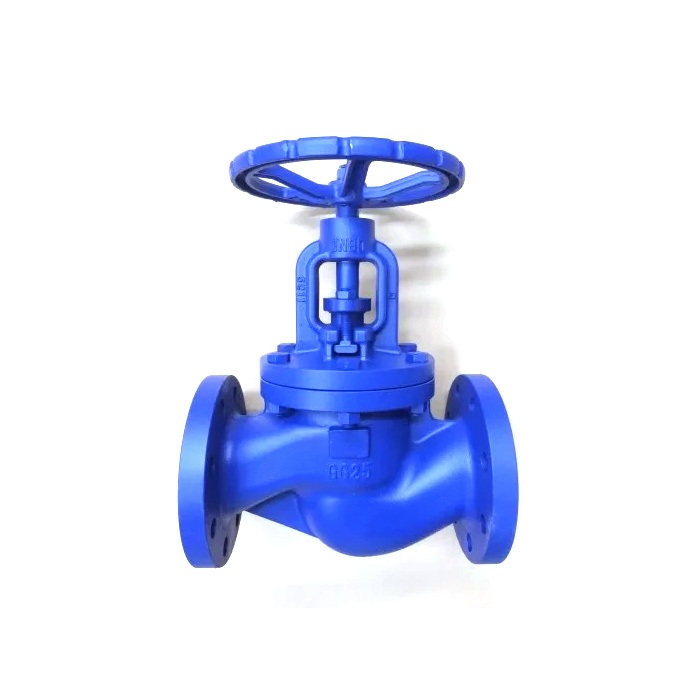 China Manufacturer of The Ductile Iron Casting Parallel Double Disc Gate Valve